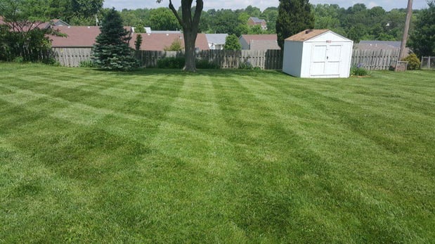 Images Cardinal Lawn Care LLC