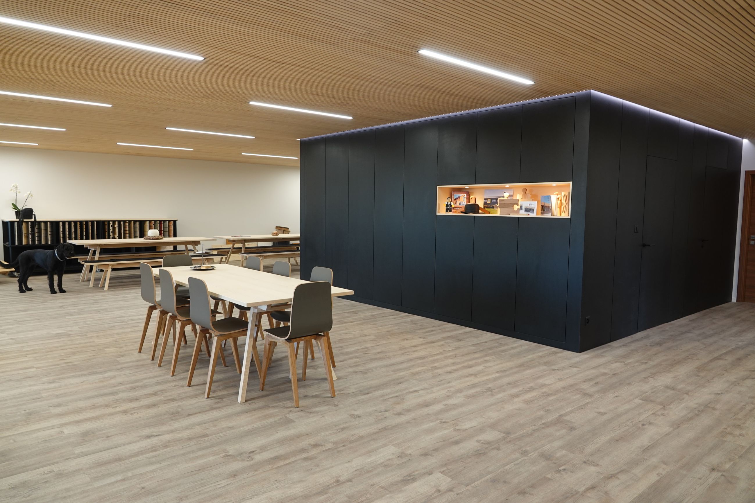 art-m gmbh, Seerietstrasse 6 in Arbon