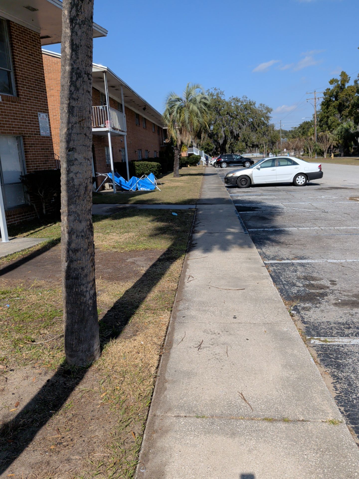 Apartment complex exterior with brick residential building, sidewalk walkway, and parking lot. Palm trees and parked cars line the property, showing typical multi-unit housing environment in sunny neighborhood.