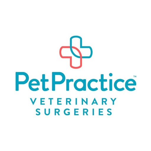 Pet Practice logo