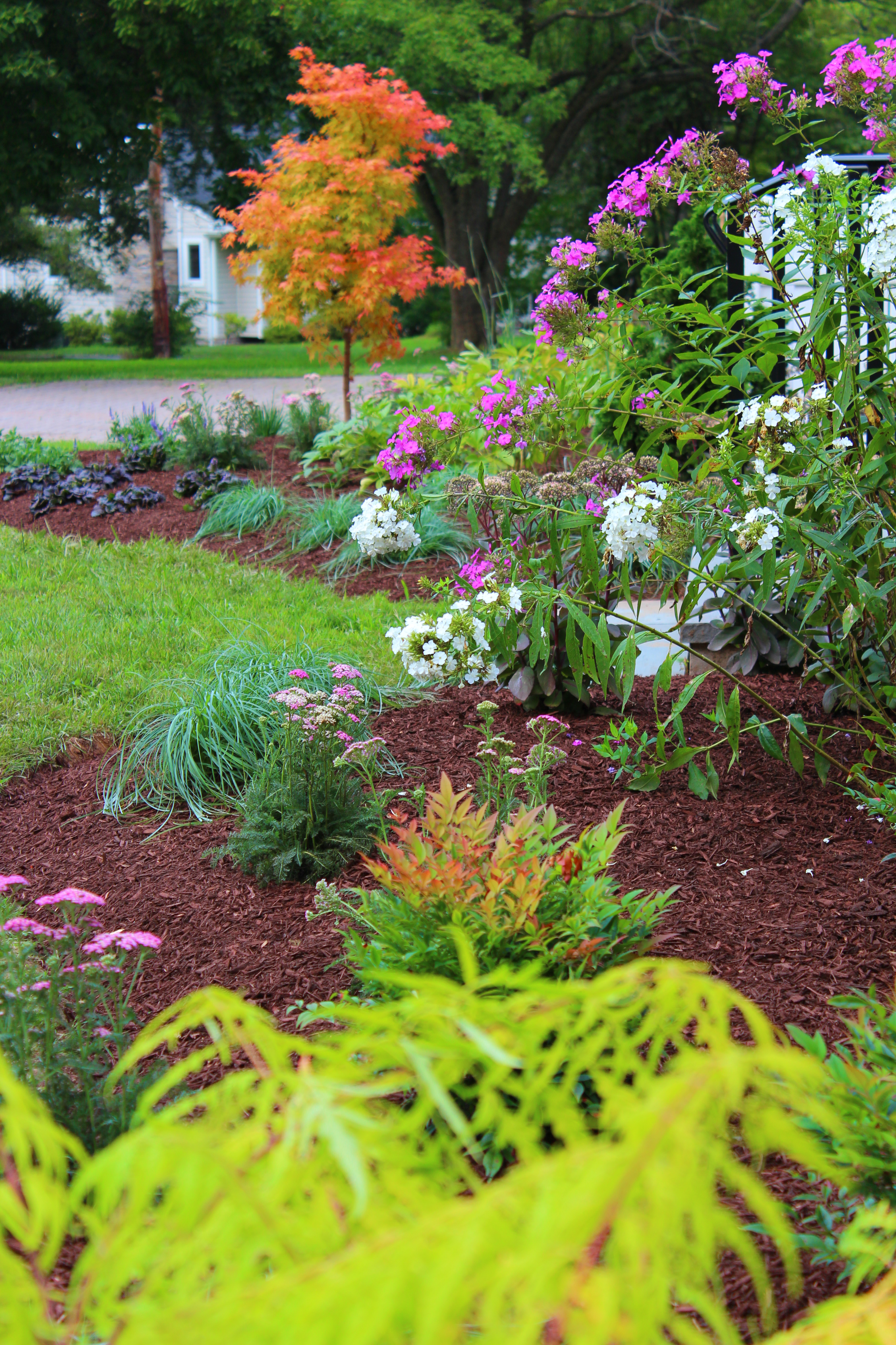 Plantings designed and installed Princeton,  NJ Residence