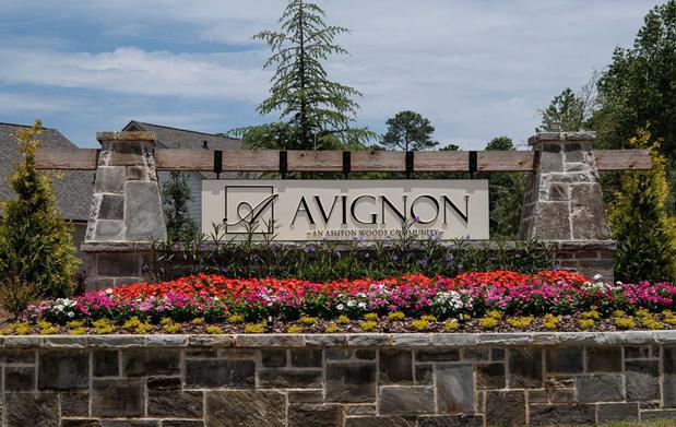 Images Avignon by Ashton Woods