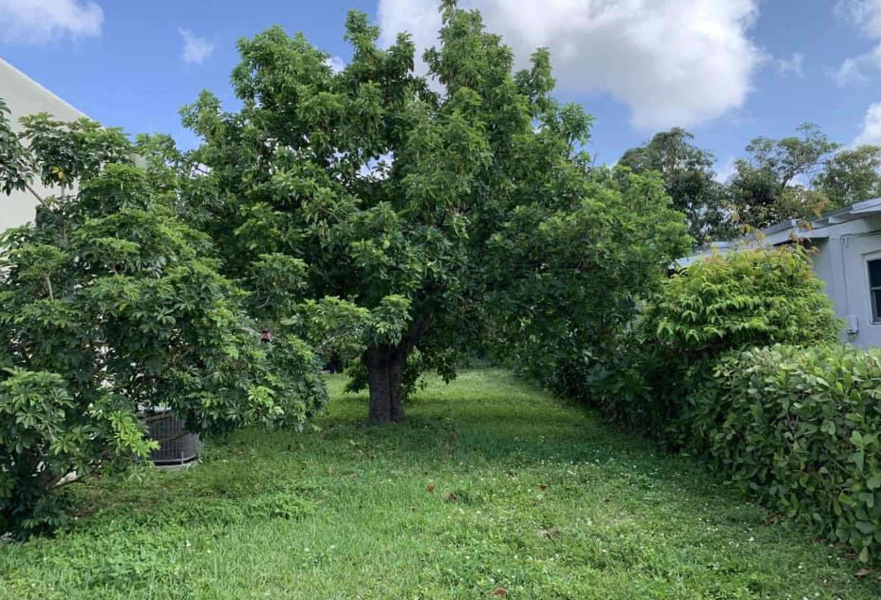 Poison Ivy Landscaping LLC 4