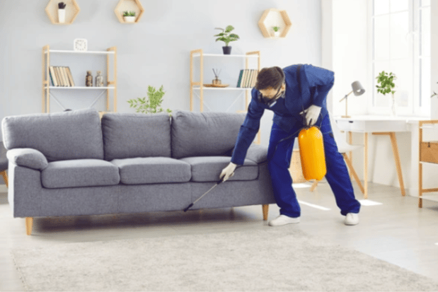 Images Bug Boss Termite and Pest Control