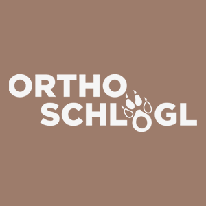Orthopädie & Schuhmachermeister Schlögl Robert Logo