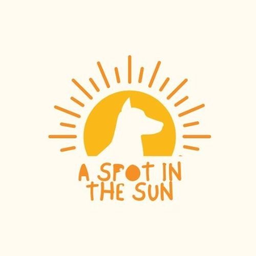 A Spot in the Sun