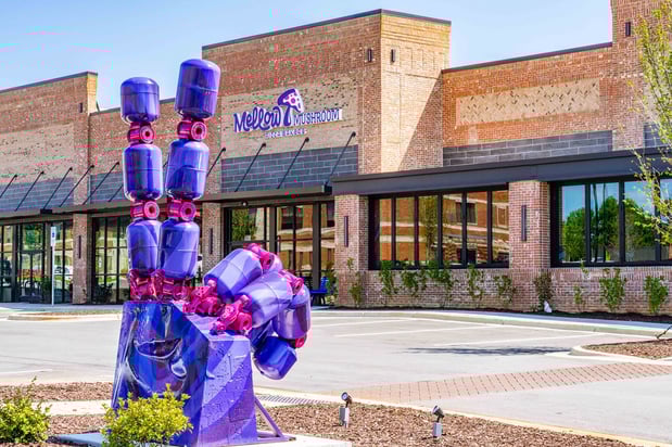 Images Mellow Mushroom Holly Springs