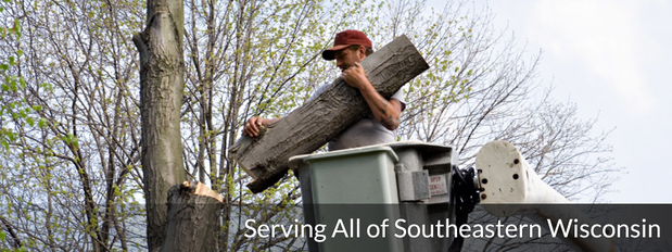 Images Darryl's Tree Service