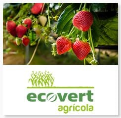 Images Ecovert