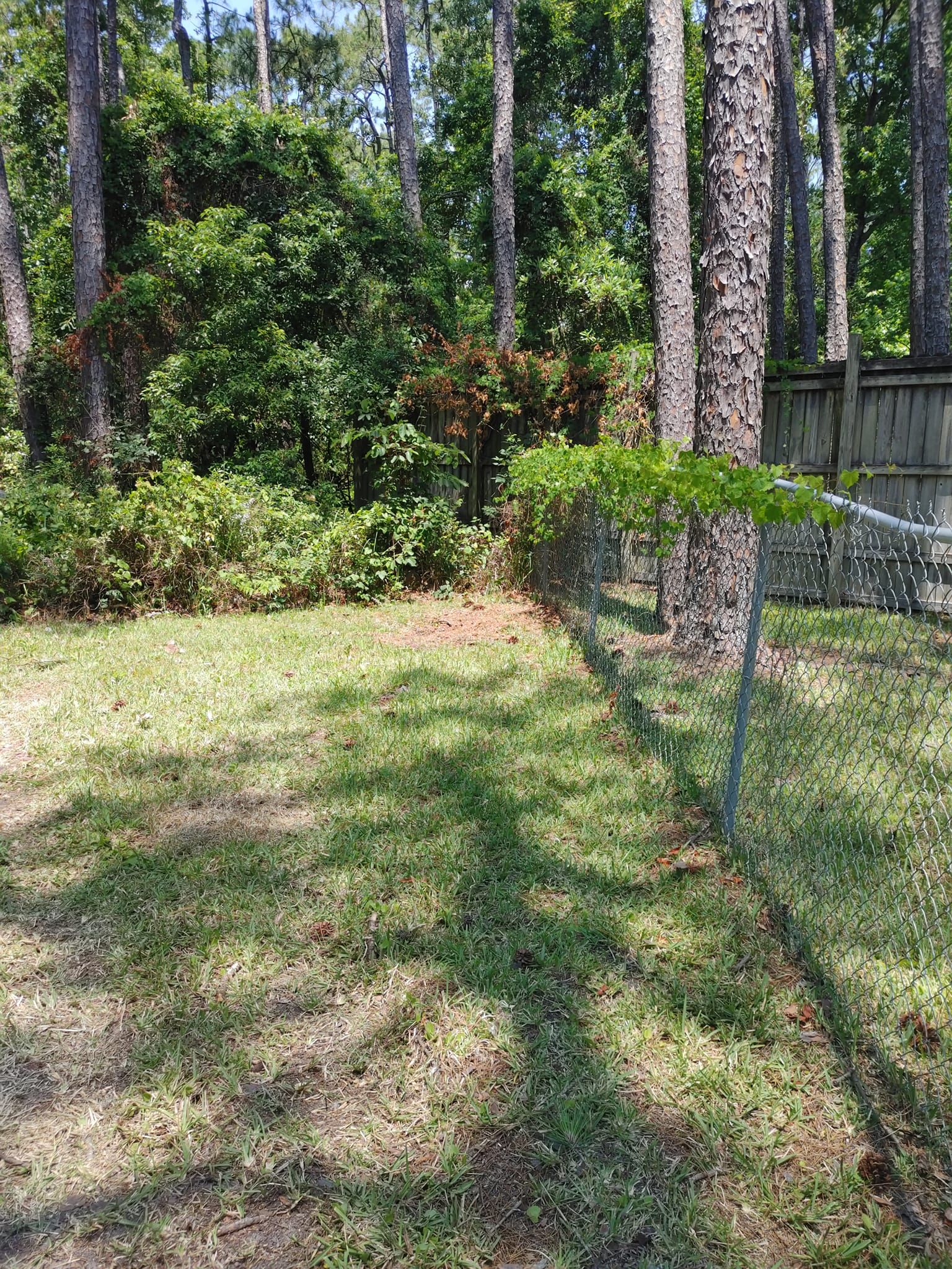 Heaven Sent Tree Service and Recovery Image