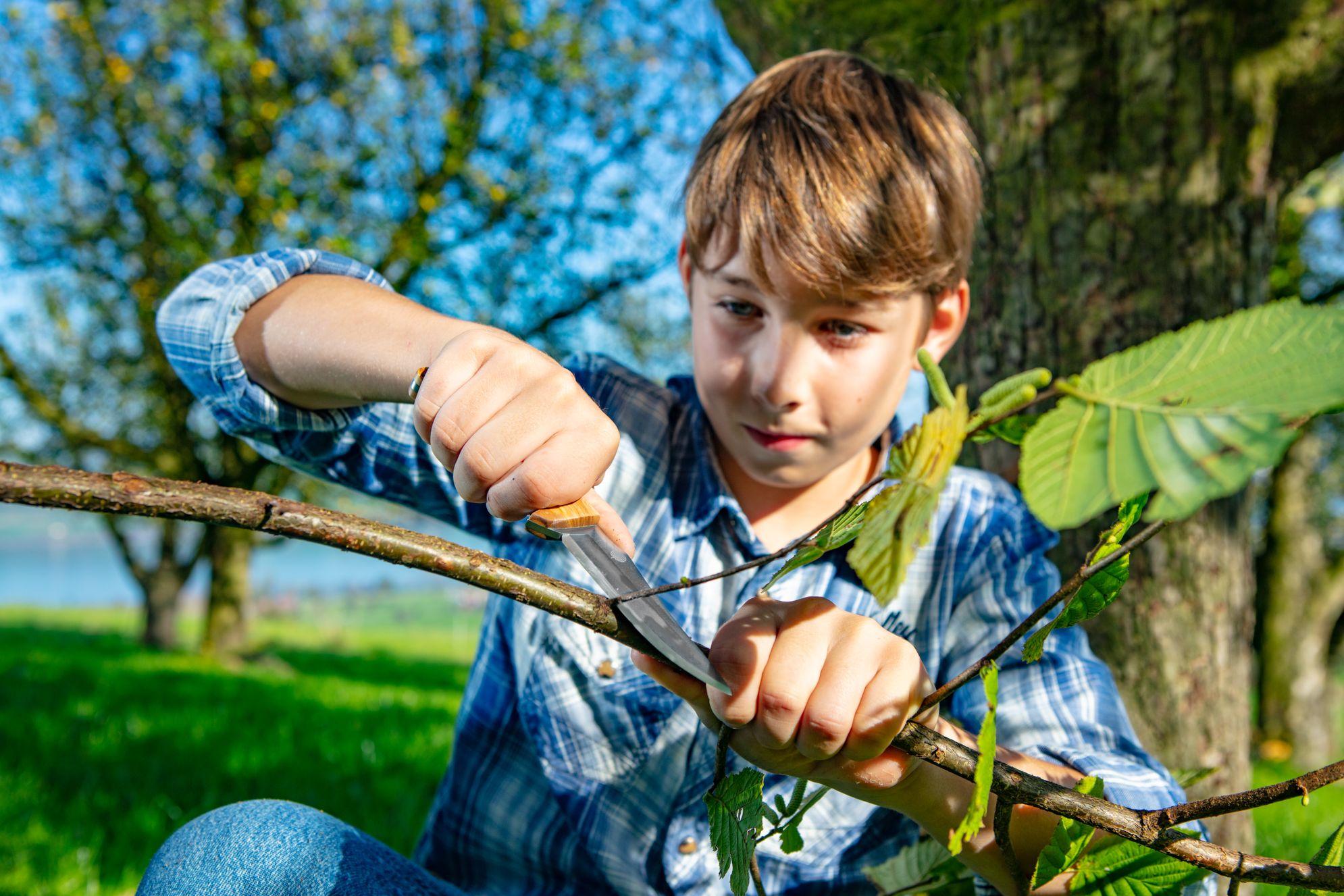 Bilder Weber's World