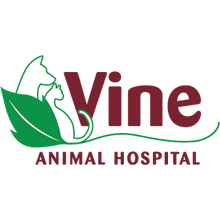 Vine Animal Hospital