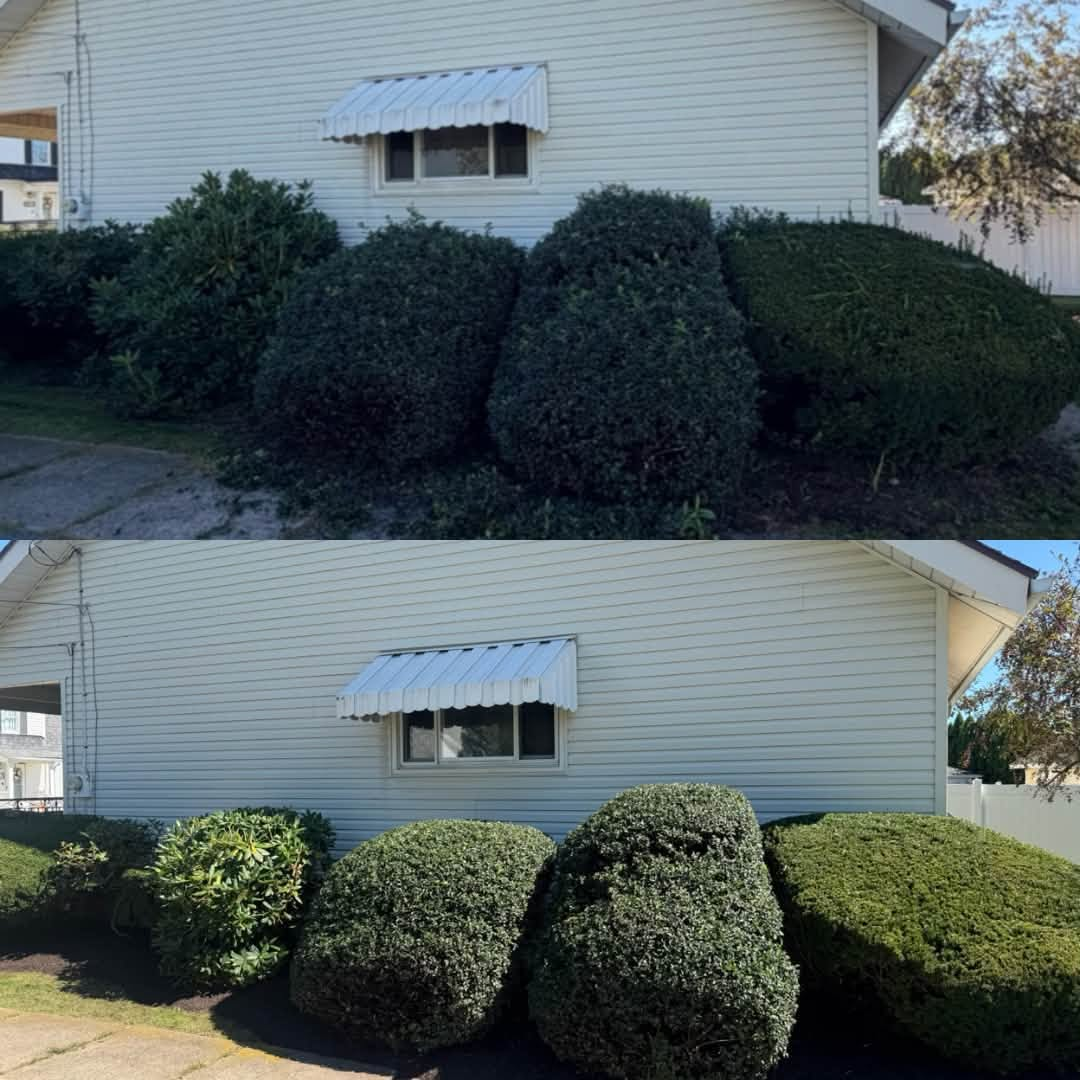 Mason Burns Landscaping