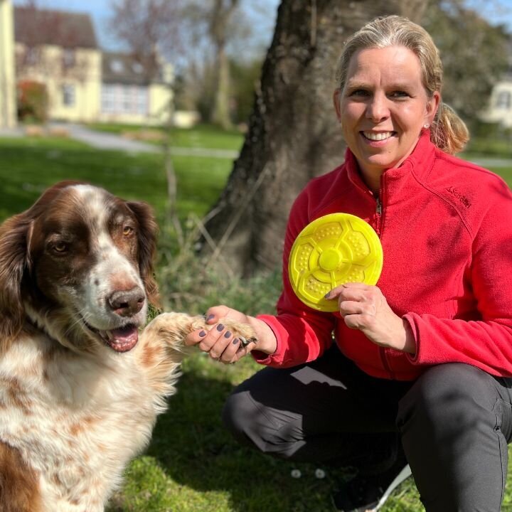 Hundetraining mit Erfolg in Düren - Logo