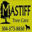 Mastiff Lawn & Tree Care Logo