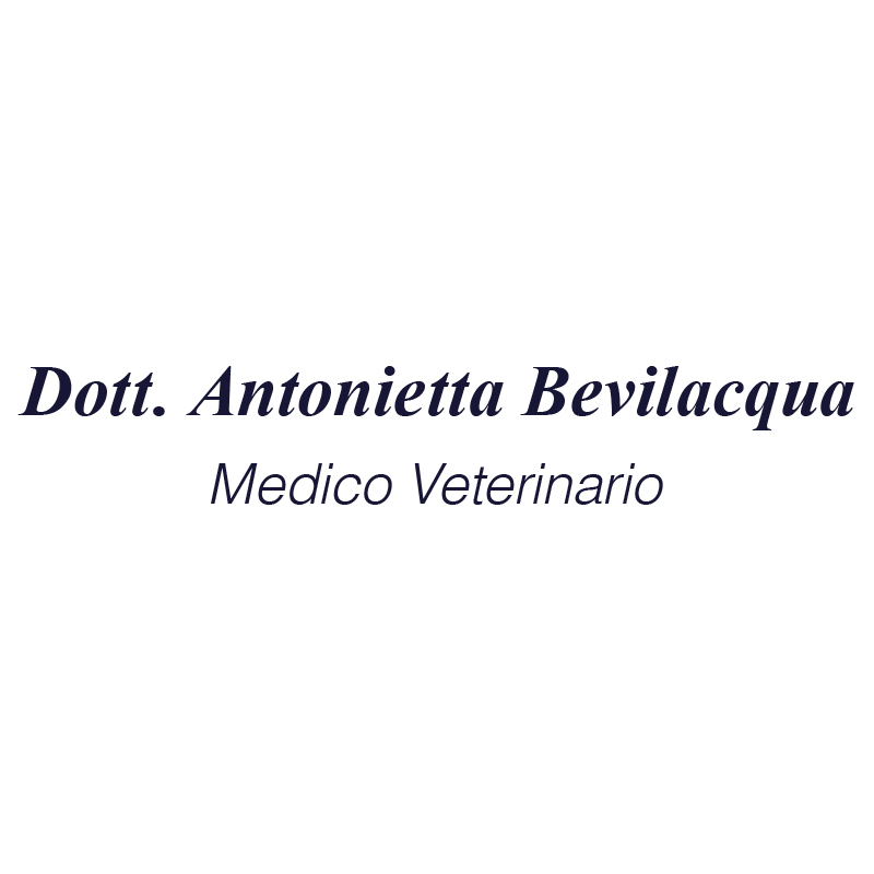 Images Veterinario Dott.ssa A. Bevilacqua