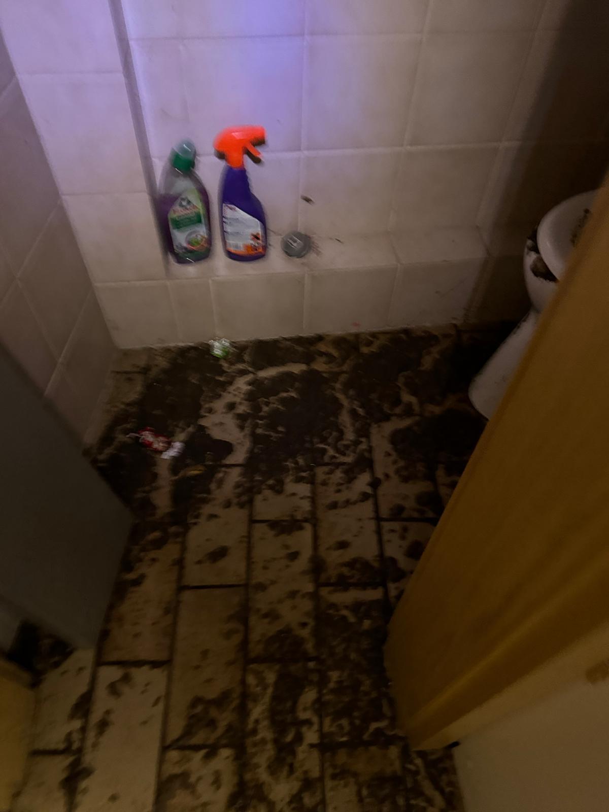 Bilder Rohrfrei Düsseldorf