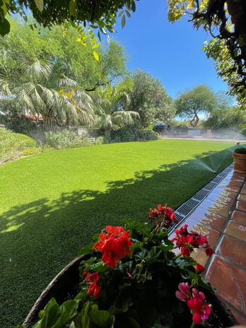 Images Purchase Green Artificial Grass