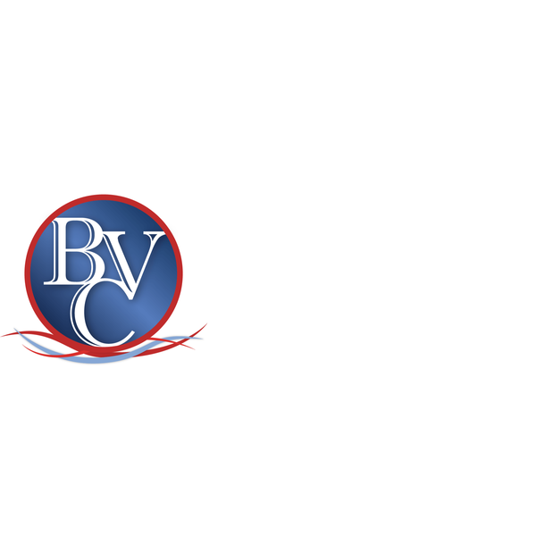 Buffalo Vascular Care Logo