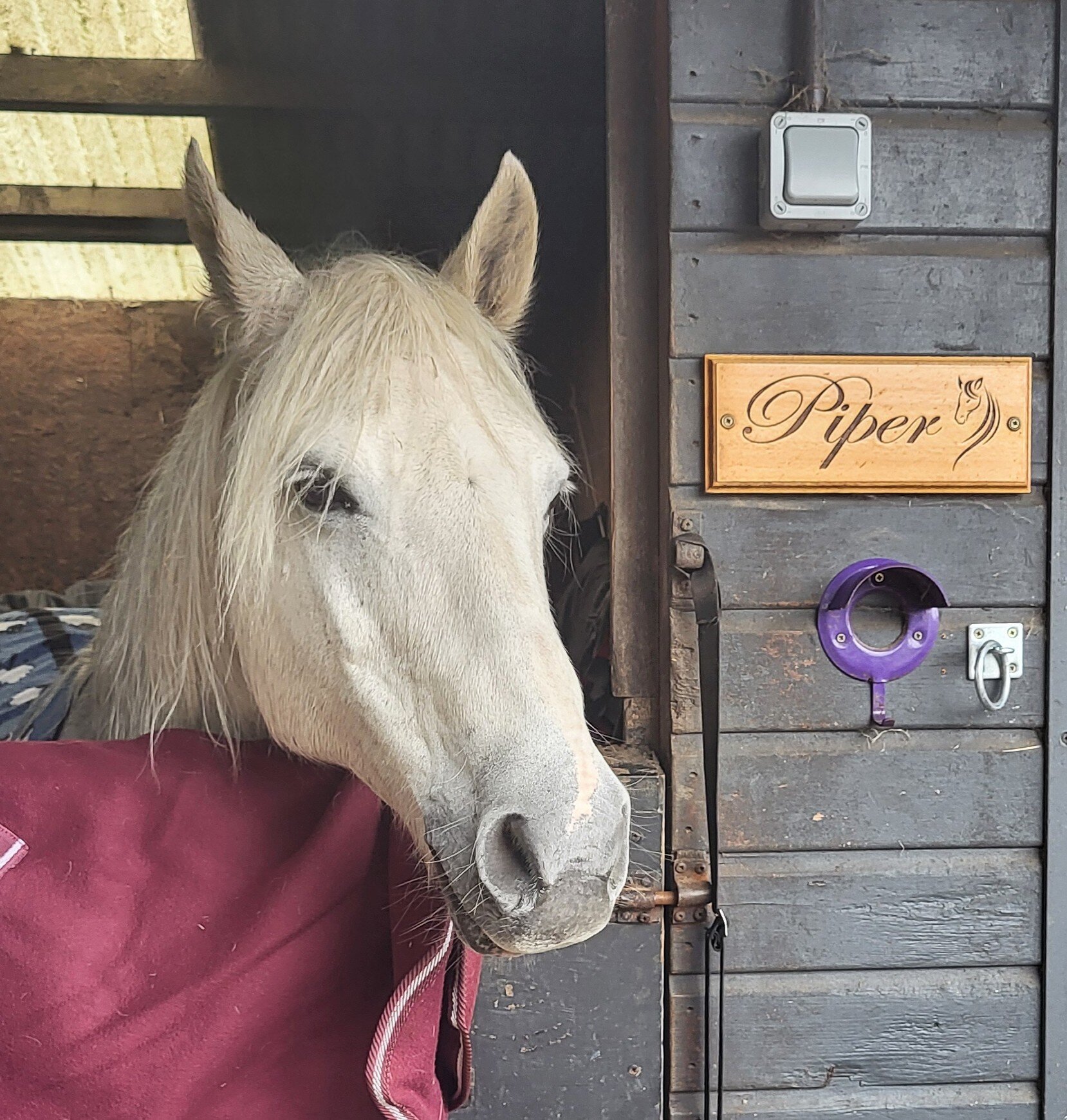 Images Piper's All Natural Horse Oils