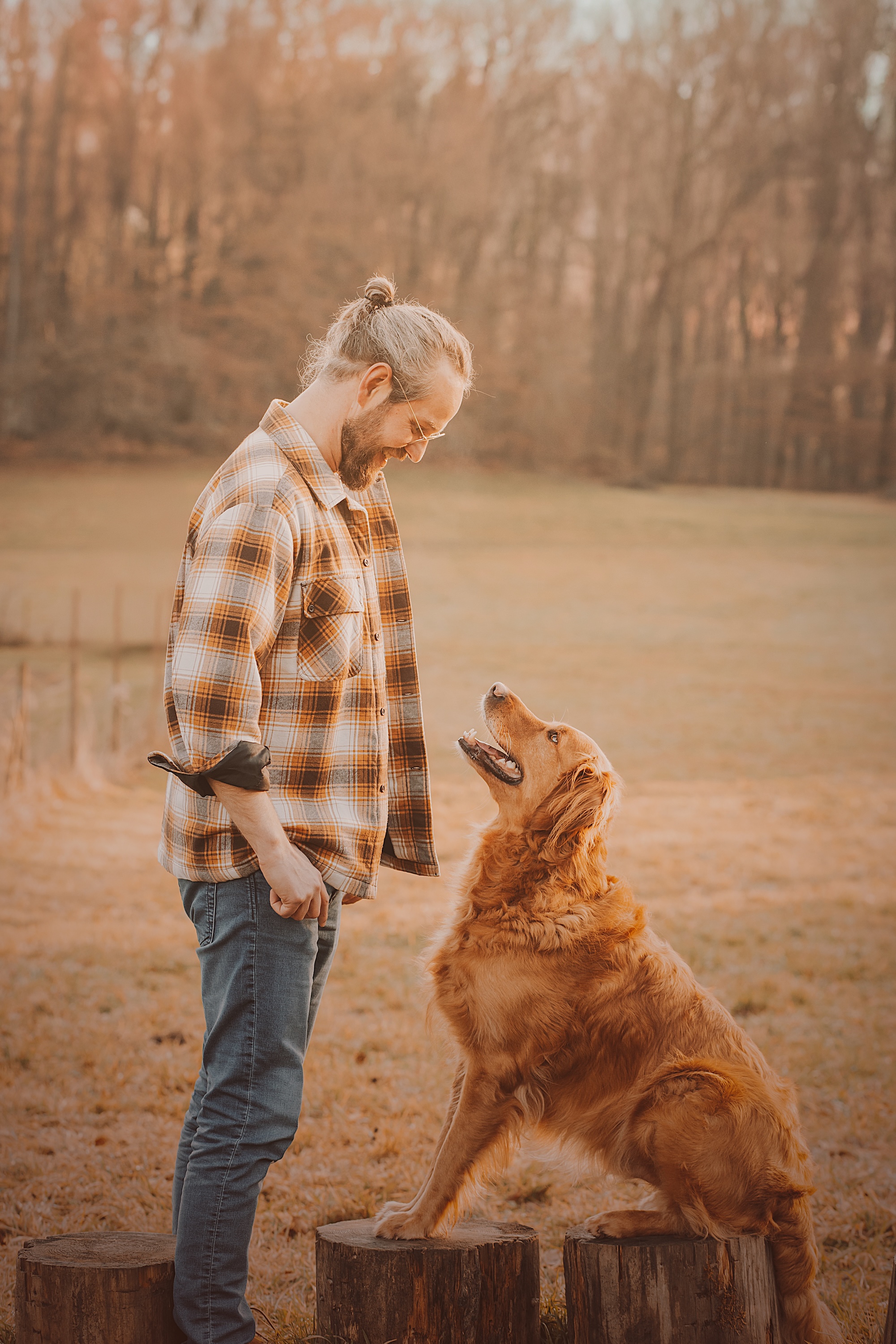 Bild 11 Hundeschule Schussenpfoten in Ravensburg