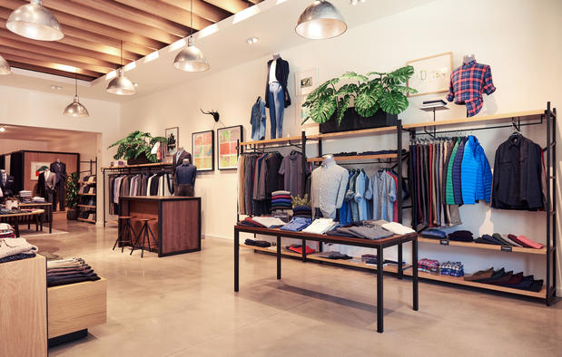 Images Bonobos