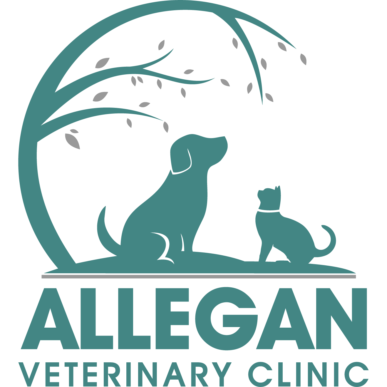 Allegan Veterinary Clinic