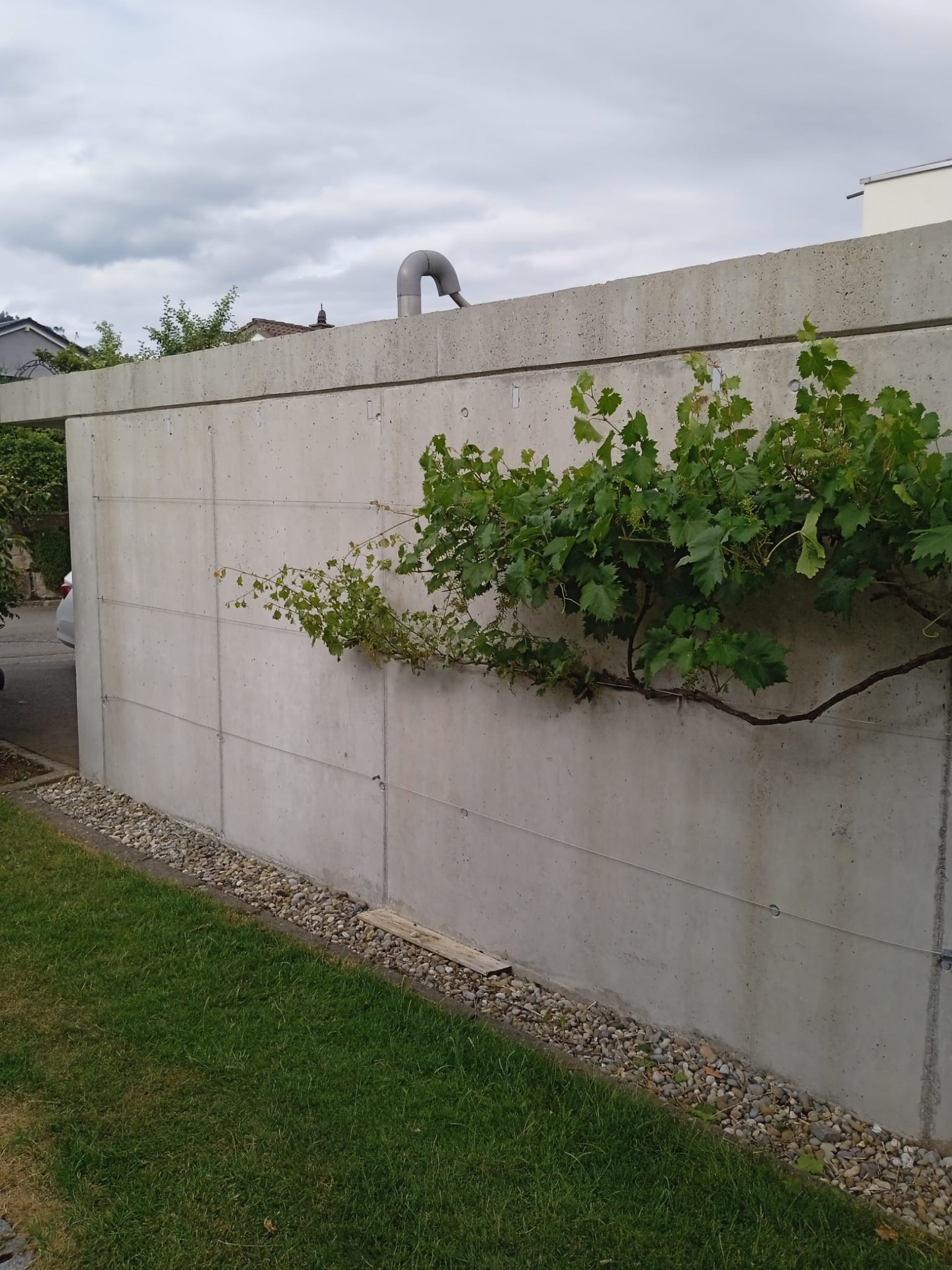 Fidelis Group GmbH, Zurlaubenstrasse 14 in Muri AG