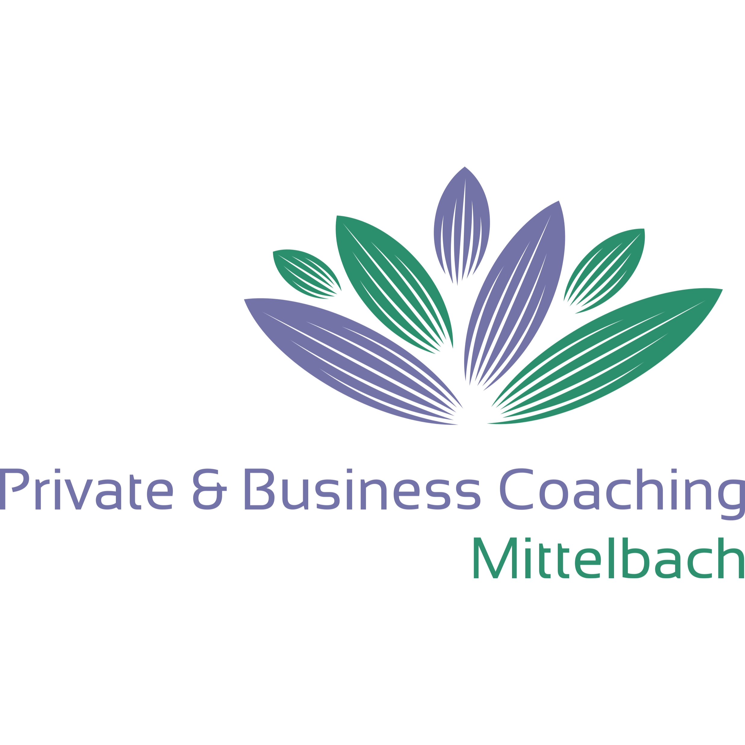 Private & Business Coaching Mittelbach Logo