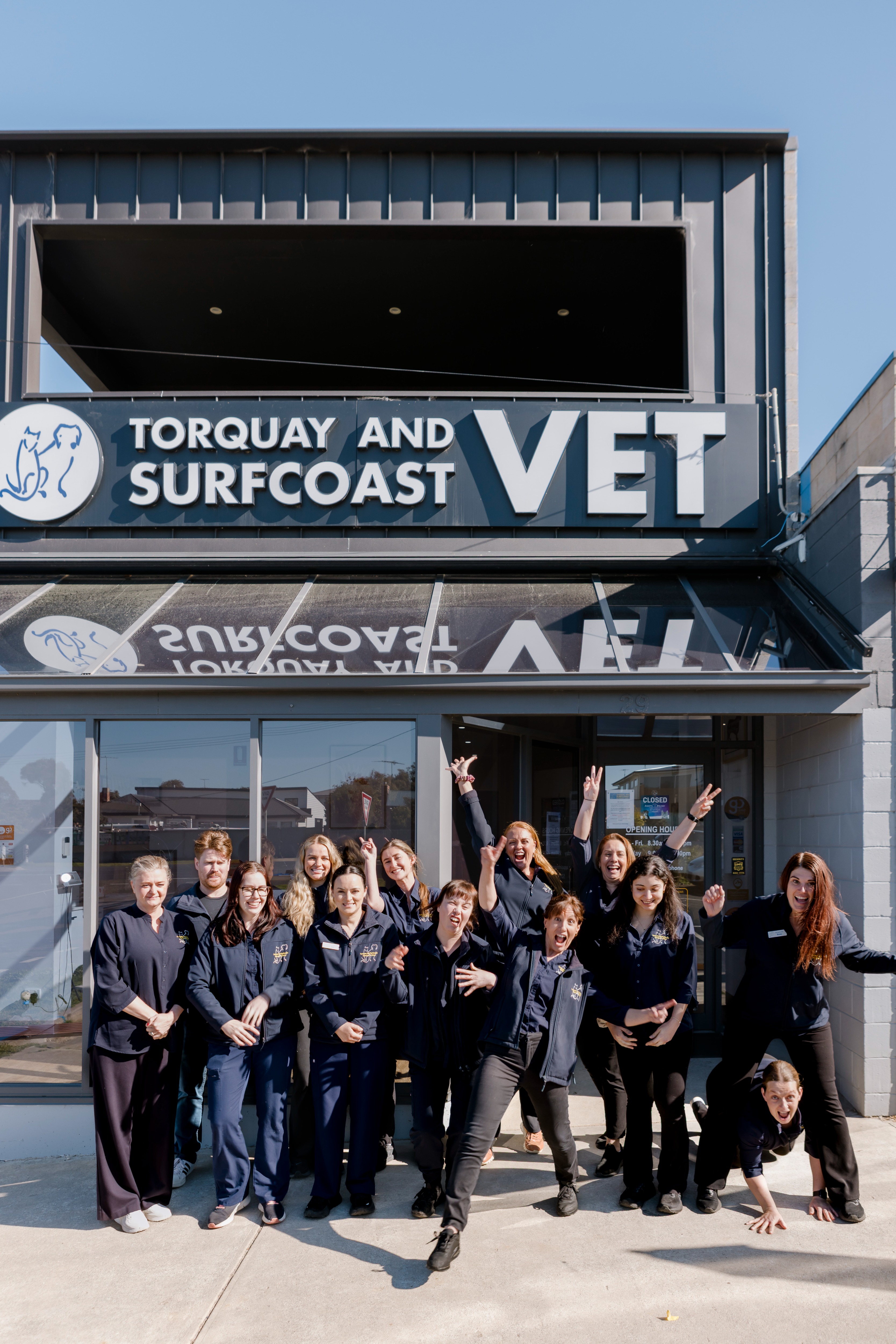 Images Torquay and Surfcoast Veterinary Clinics