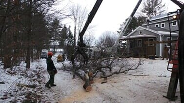 Images DJ's Tree Service