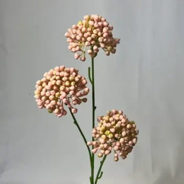 Images Village Green Wholesale Ltd