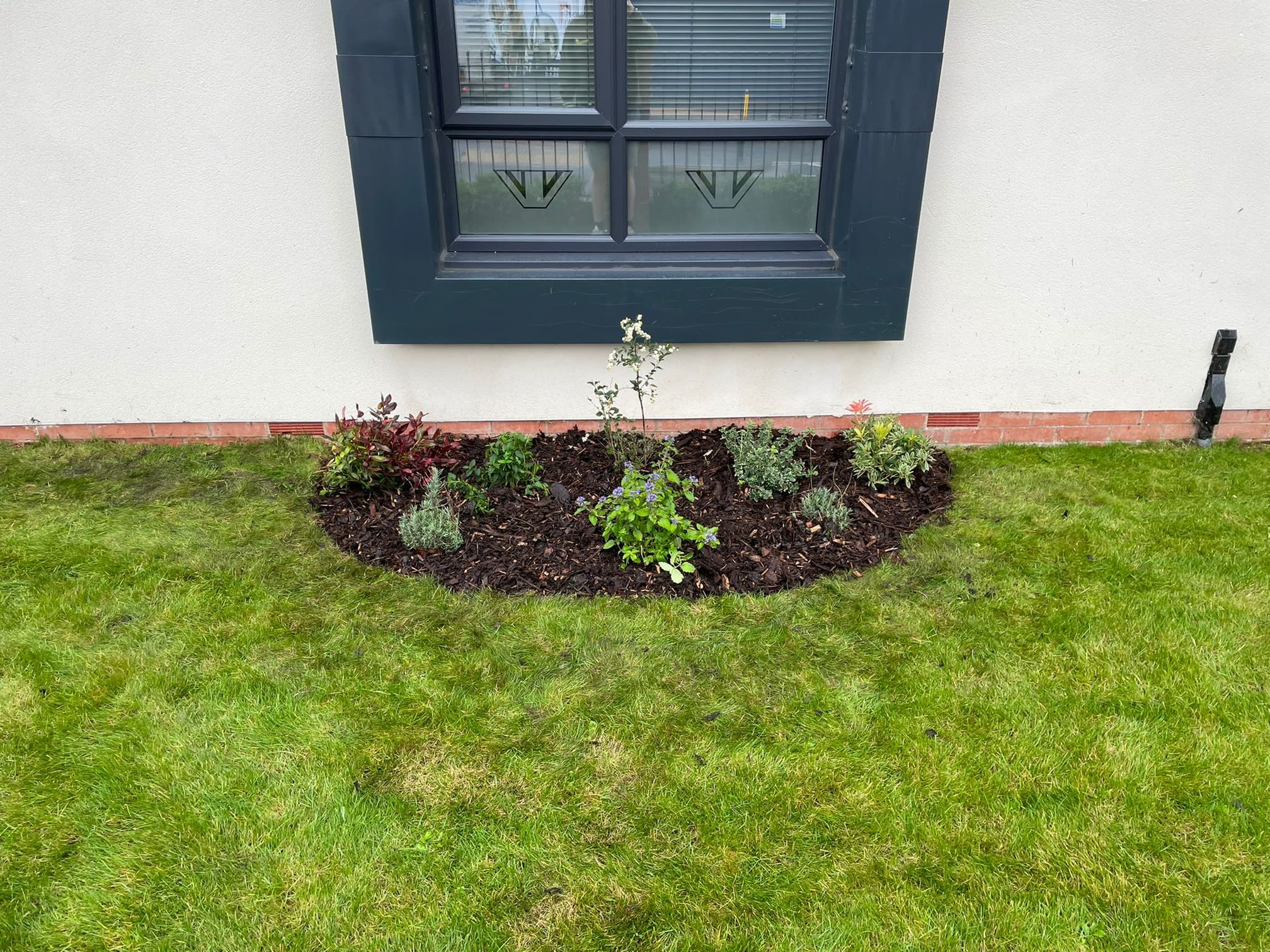 Images Webster & Son Landscapes Ltd