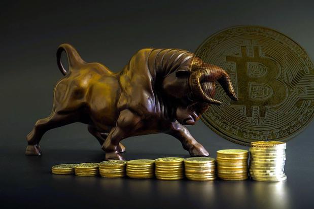 Images Bull Blockchain Law