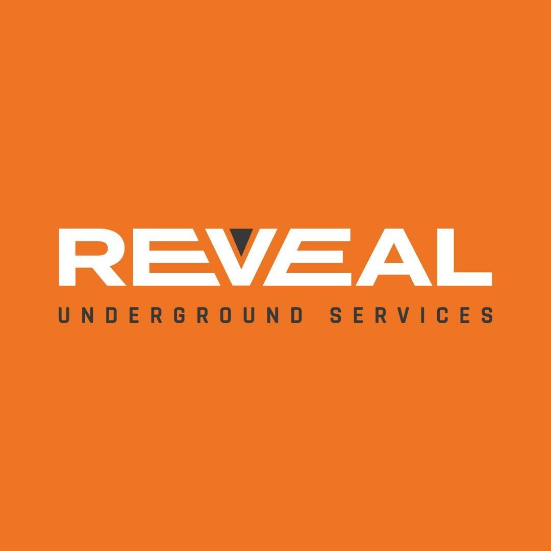 Reveal Underground Services Logo