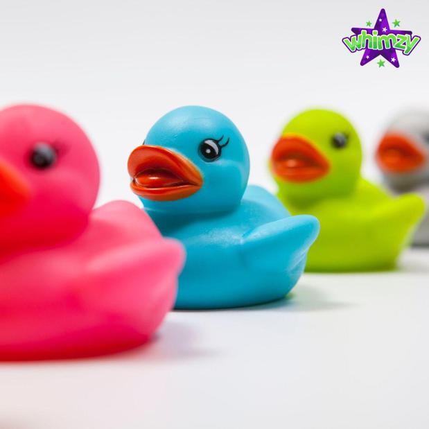 Images Whimzy - Lakeville