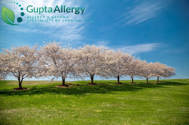 Images Gupta Allergy: Allergy & Asthma Specialists of Lansing, PLLC