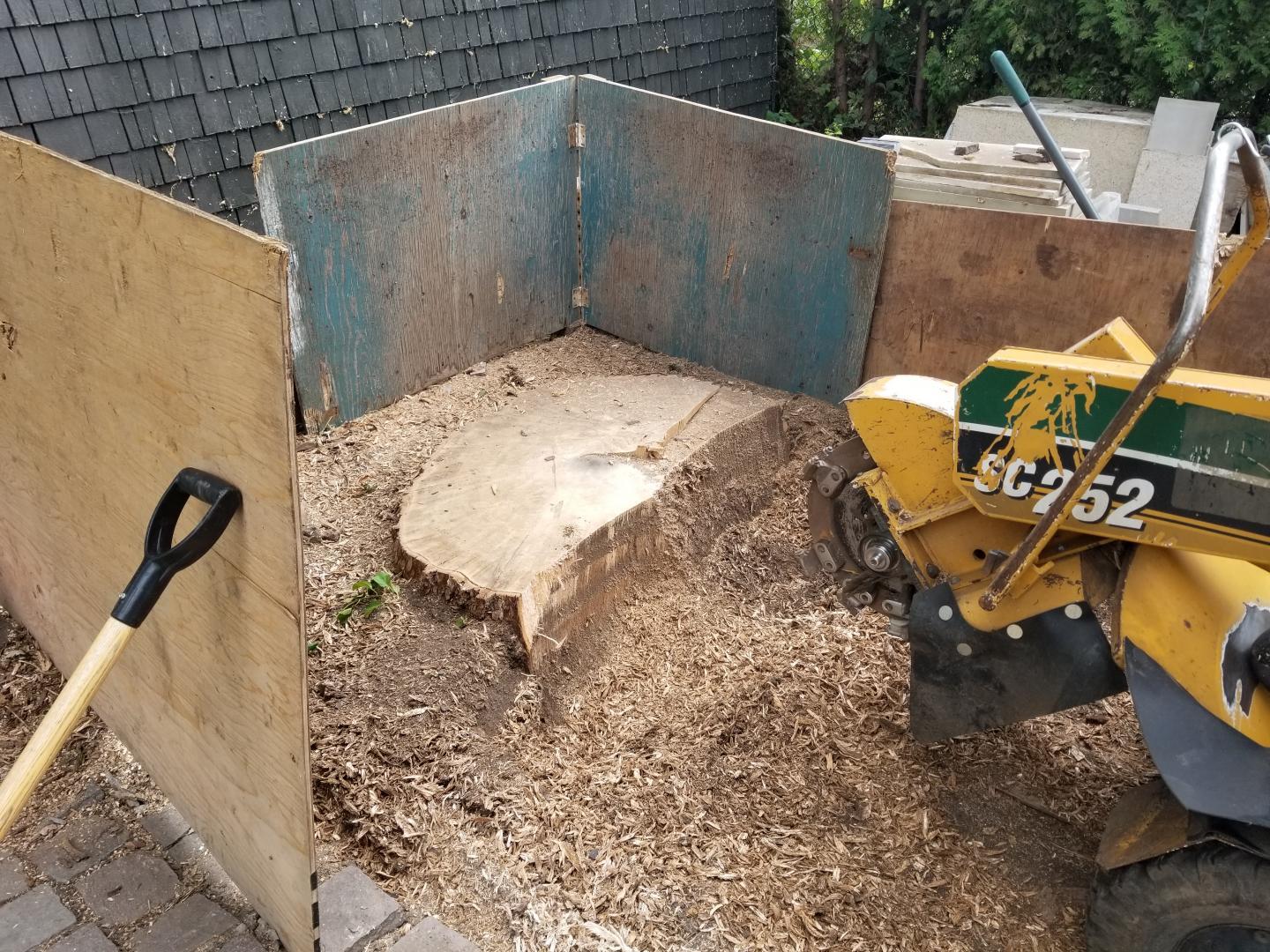 Images Arboriculture Arbo-Scape