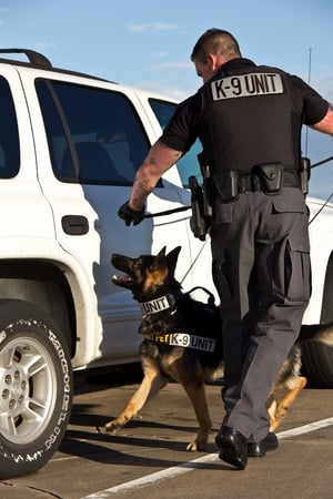 Images Top Gun Body Guard, Investigations & Security Consulting