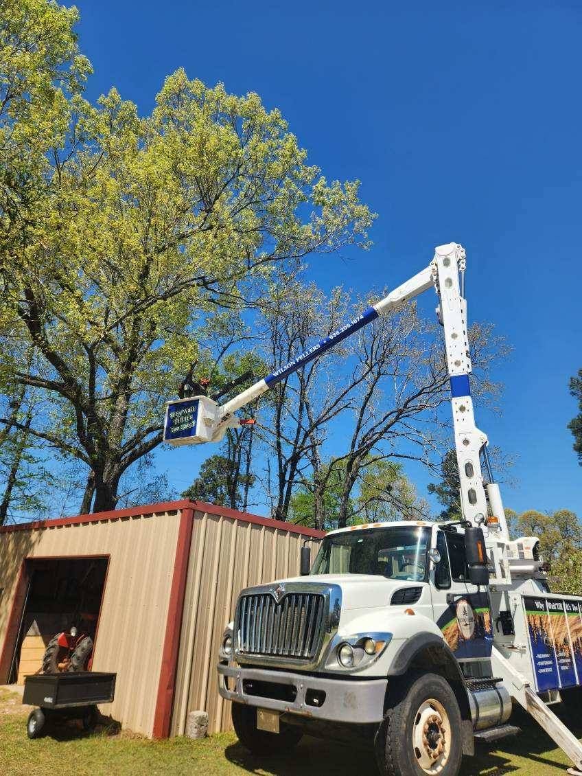 Wilson Fellers Tree Service Image