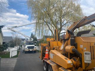 Images Sawvell Tree Service