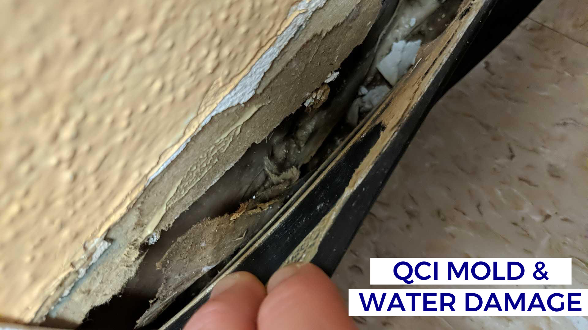 Image 10 | QCI Mold and Water Damage