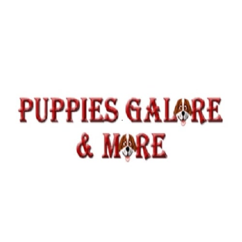 Puppies Galore & More
