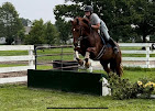 Images Star Ridge Stables