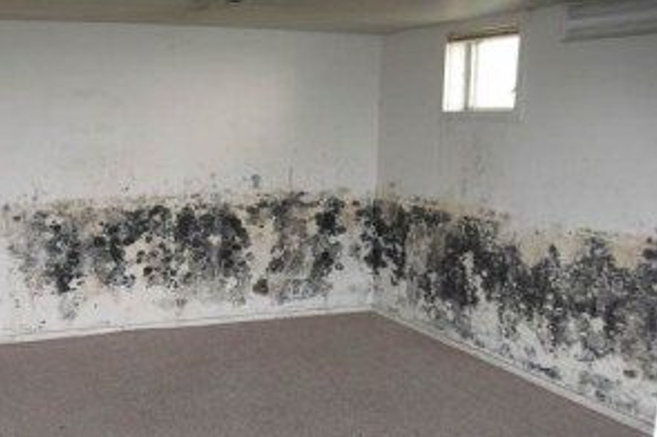 Images A-1 Mold Testing & Remediation Services