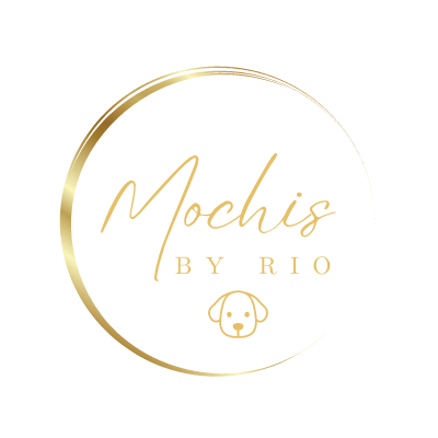 MochisbyRio in Lünen - Logo