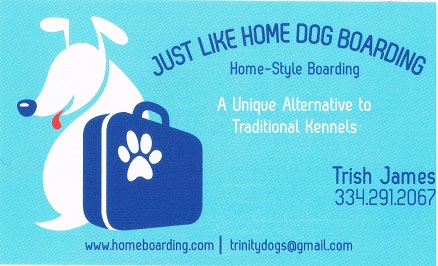Images Just Like Home Dog Boarding
