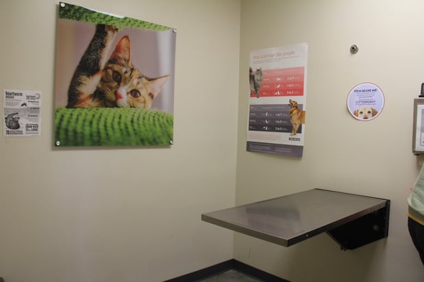 Images Vetco Total Care Animal Hospital
