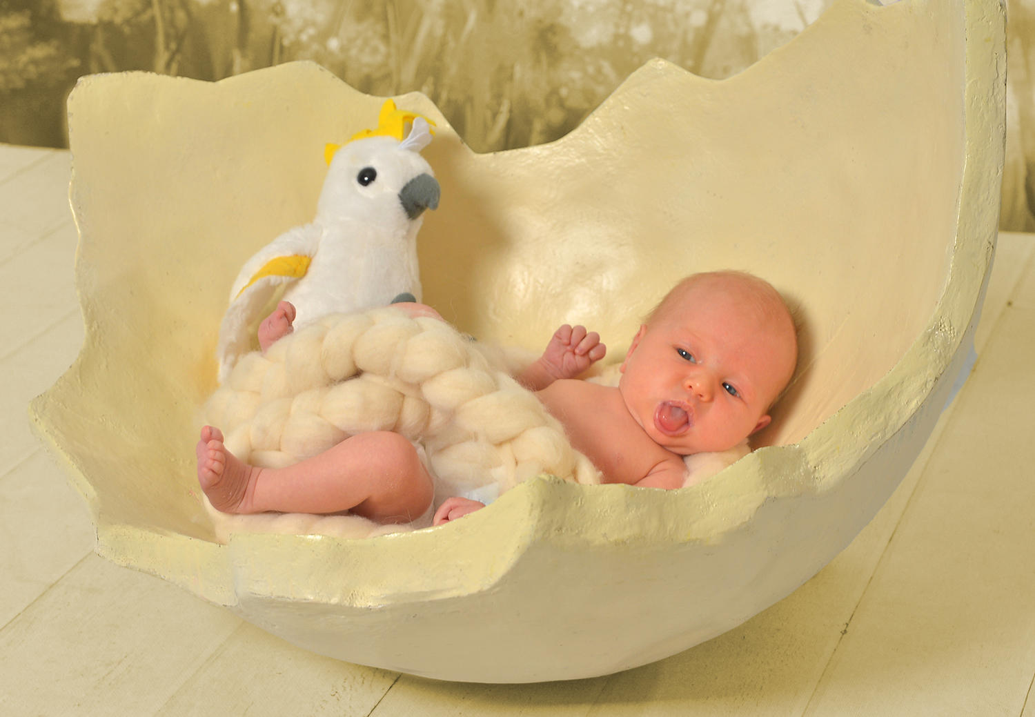 HD Foto Studio Hruby GmbH, Hauptstraße 63 in Zeltweg