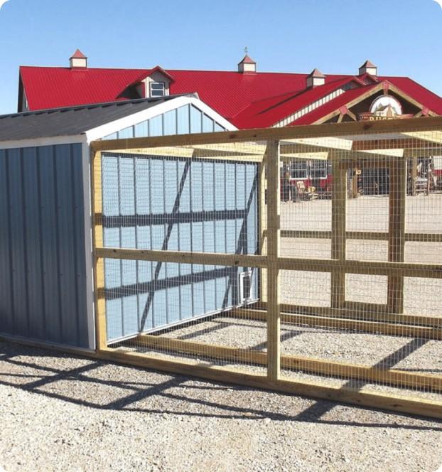 Images The Backyard & Beyond